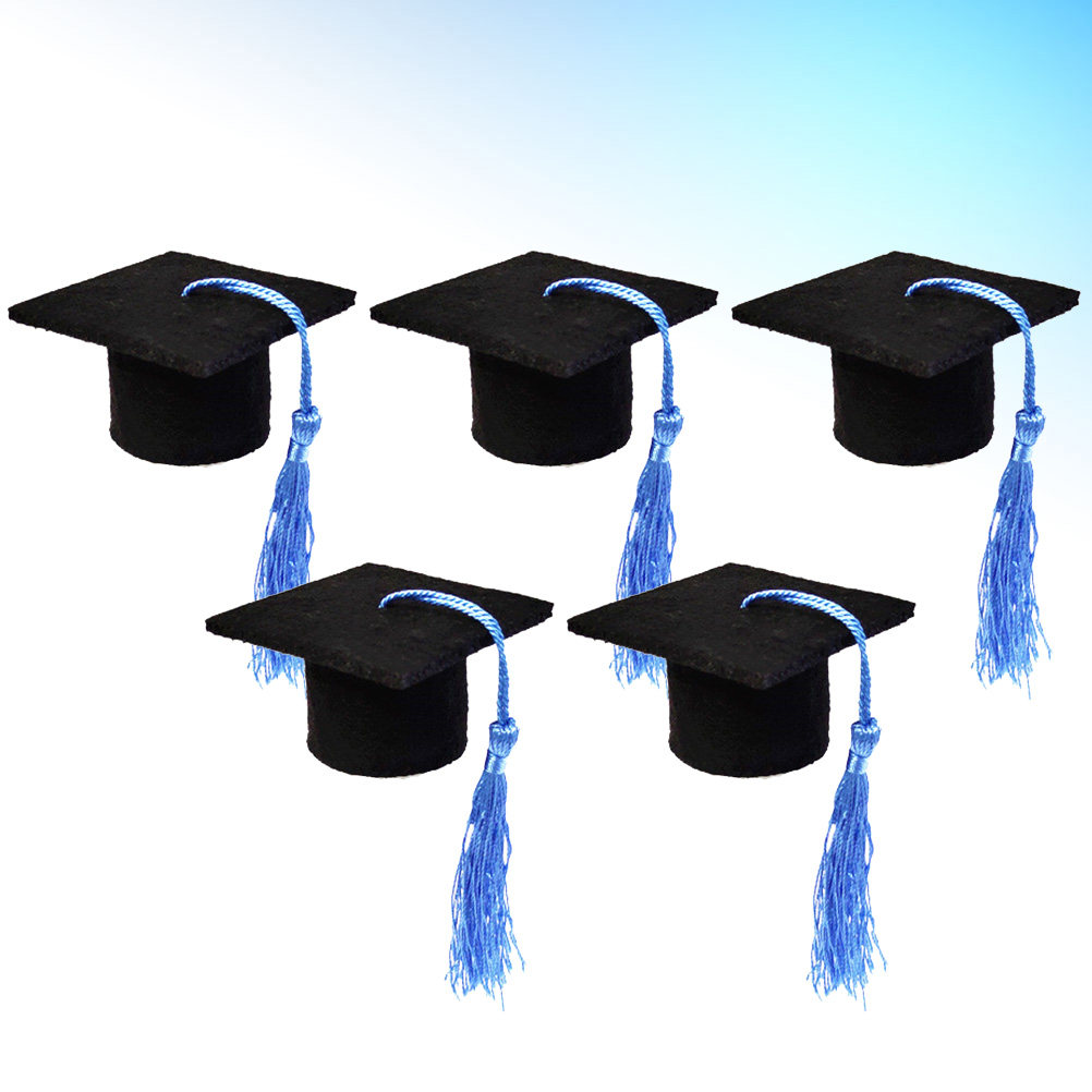 5Pcs Doctoral Hat Decoration M - Wine Beer Hat review and price